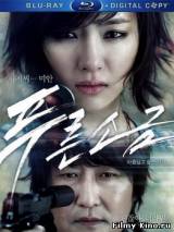 Смотреть Взгляд из прошлого / Hindsight (2011) бесплатно