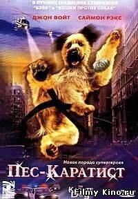 Комедии онлайн: Пес-каратист онлайн