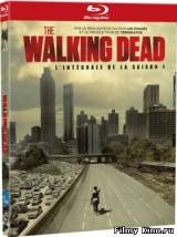 Смотреть Ходячие мертвецы / The Walking Dead (2010) бесплатно